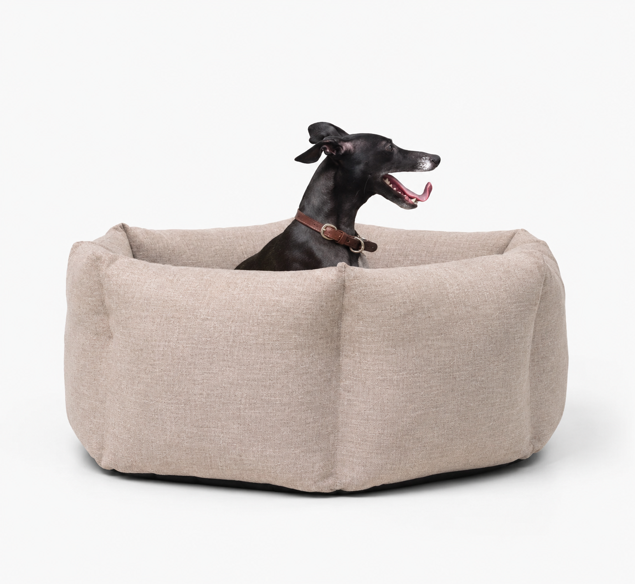 Dog sitting in a beige pet bed on a white background